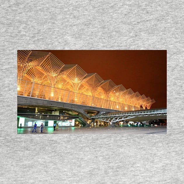 Gare do Oriente. Architecture. Lisbon. by terezadelpilar